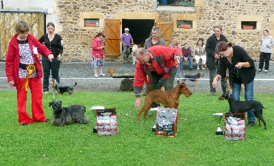 Des petits roys de mae - régionale 2009 à LANTY