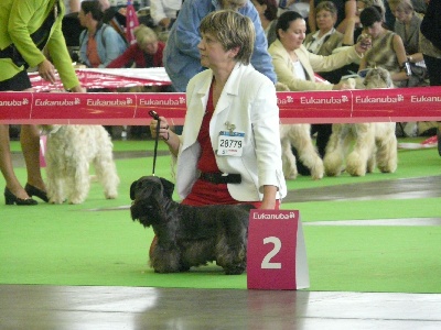 Des petits roys de mae - championnat de france et mondiale 2011